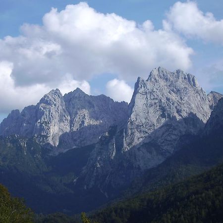 Appartement Lisa Schweiger Kirchberg in Tirol Buitenkant foto