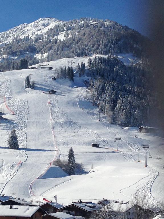 Appartement Lisa Schweiger Kirchberg in Tirol Buitenkant foto