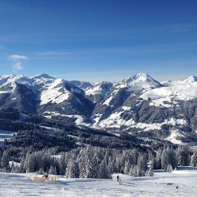 Appartement Lisa Schweiger Kirchberg in Tirol Buitenkant foto