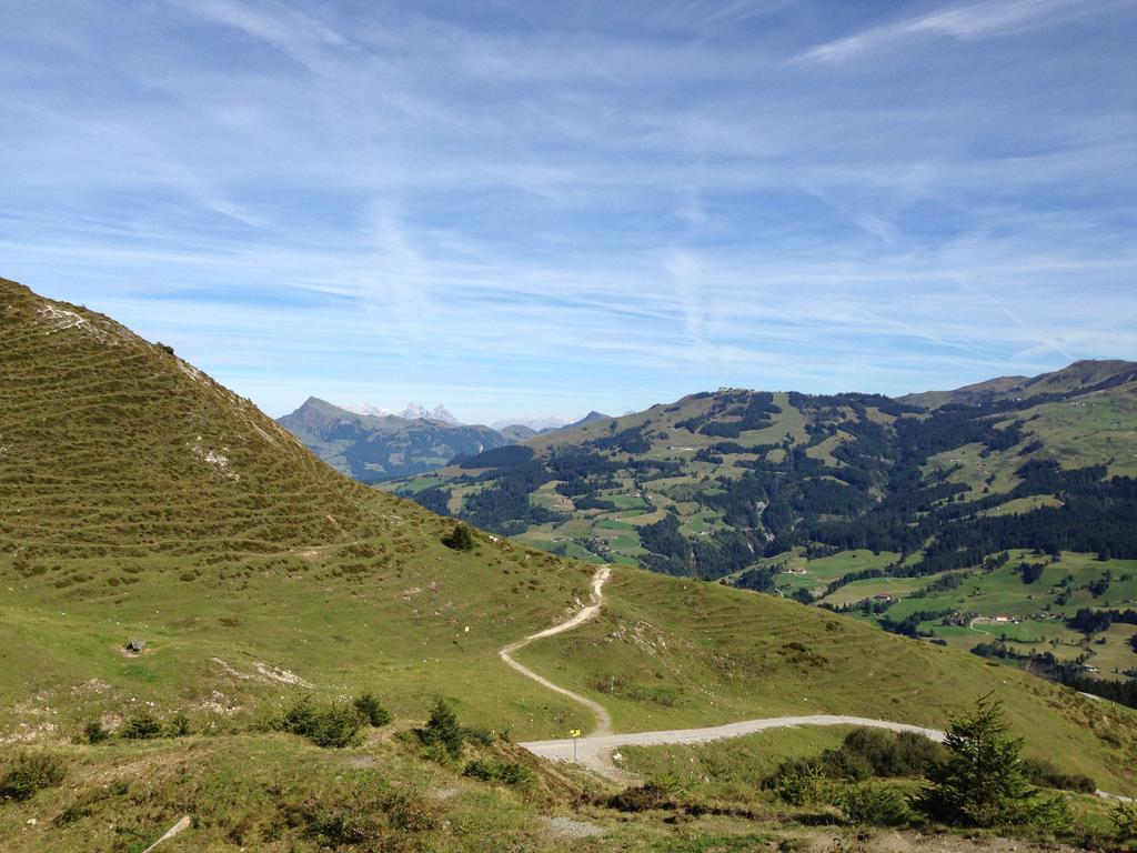 Appartement Lisa Schweiger Kirchberg in Tirol Buitenkant foto