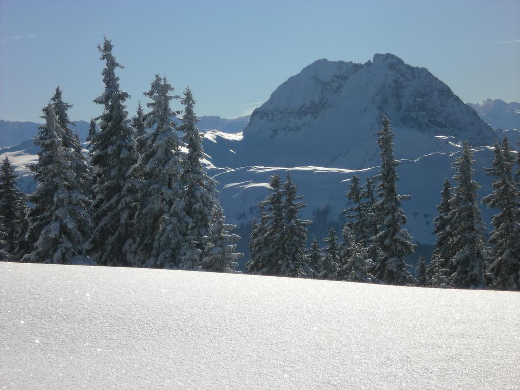 Appartement Lisa Schweiger Kirchberg in Tirol Buitenkant foto