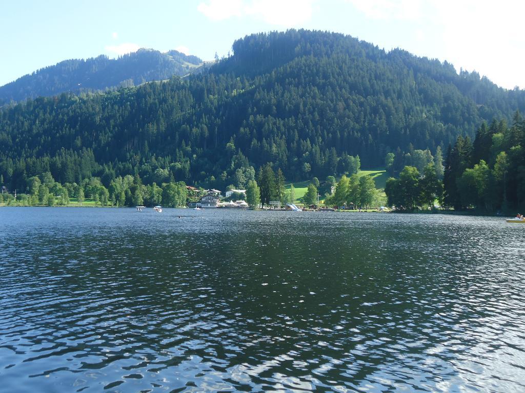 Appartement Lisa Schweiger Kirchberg in Tirol Buitenkant foto