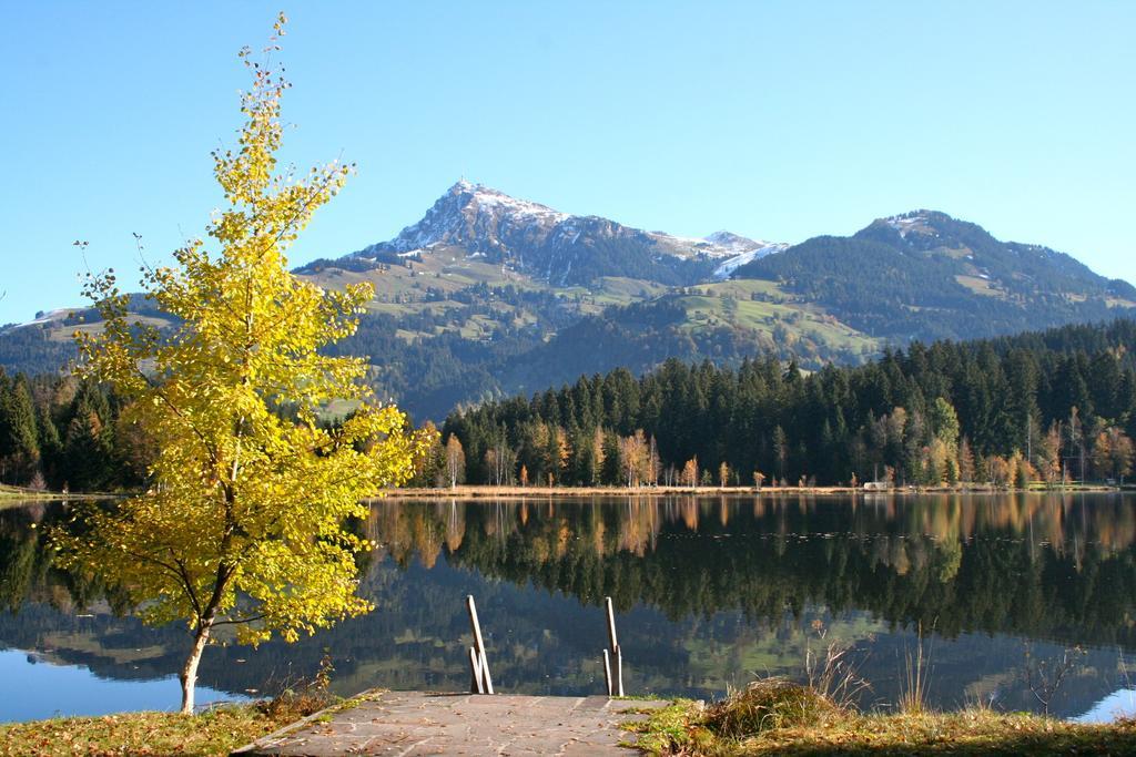 Appartement Lisa Schweiger Kirchberg in Tirol Buitenkant foto